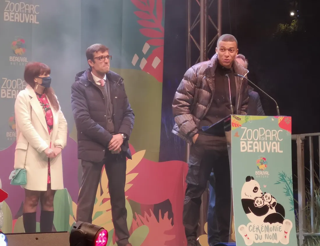 La star du PSG Kylian Mbappé parraine un des bébés pandas de Beauval